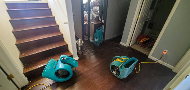 Best Ceiling water damage repair  in Dillon, CO