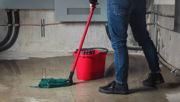 Best Sewage cleanup and water damage restoration  in Dillon, CO