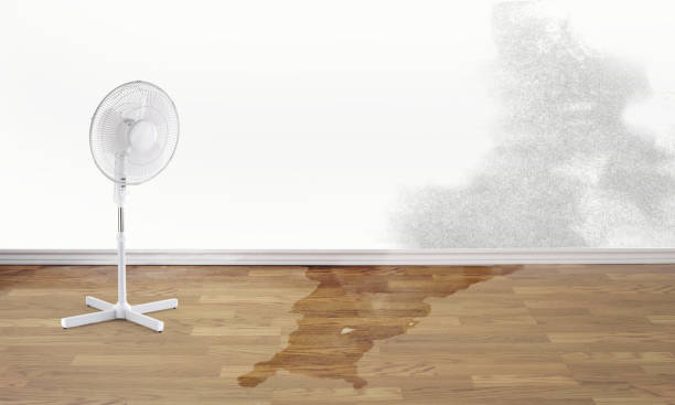Professional Water damage restoration in Dillon, CO