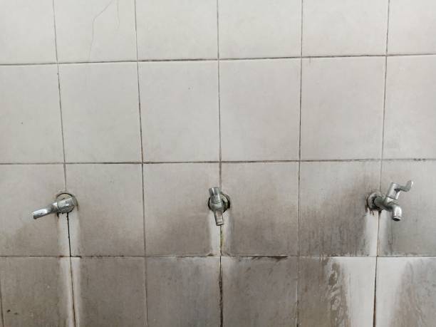 Best Local water damage restoration  in Dillon, CO