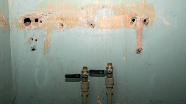 Best Water damage restoration specialists  in Dillon, CO