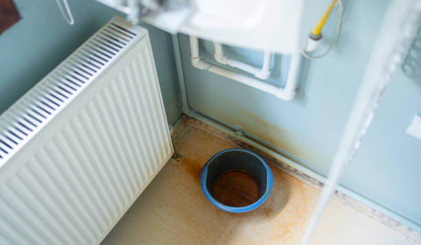 Best Water damage cleanup near me  in Dillon, CO