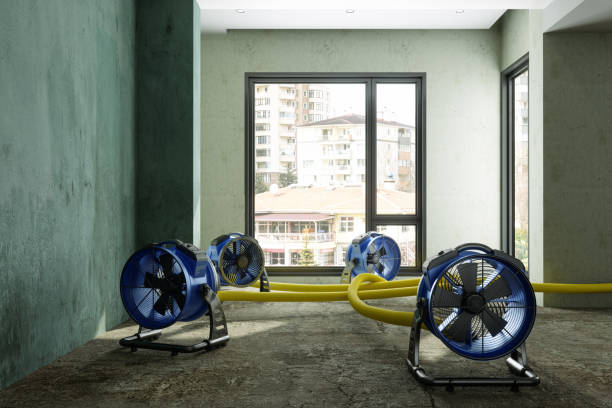 Best Sewage cleanup and water damage restoration  in Dillon, CO