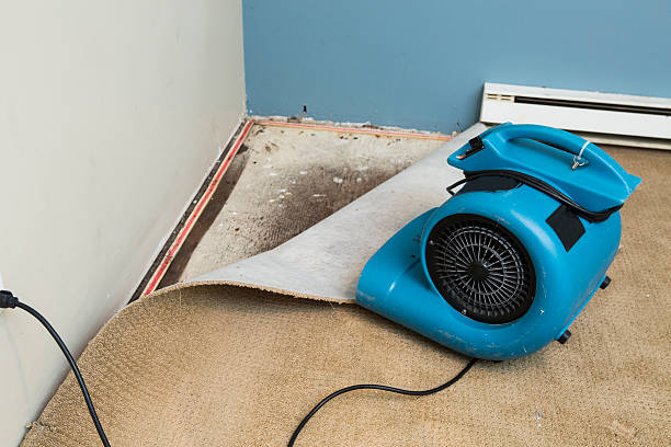 Best Water damage cleanup near me  in Dillon, CO
